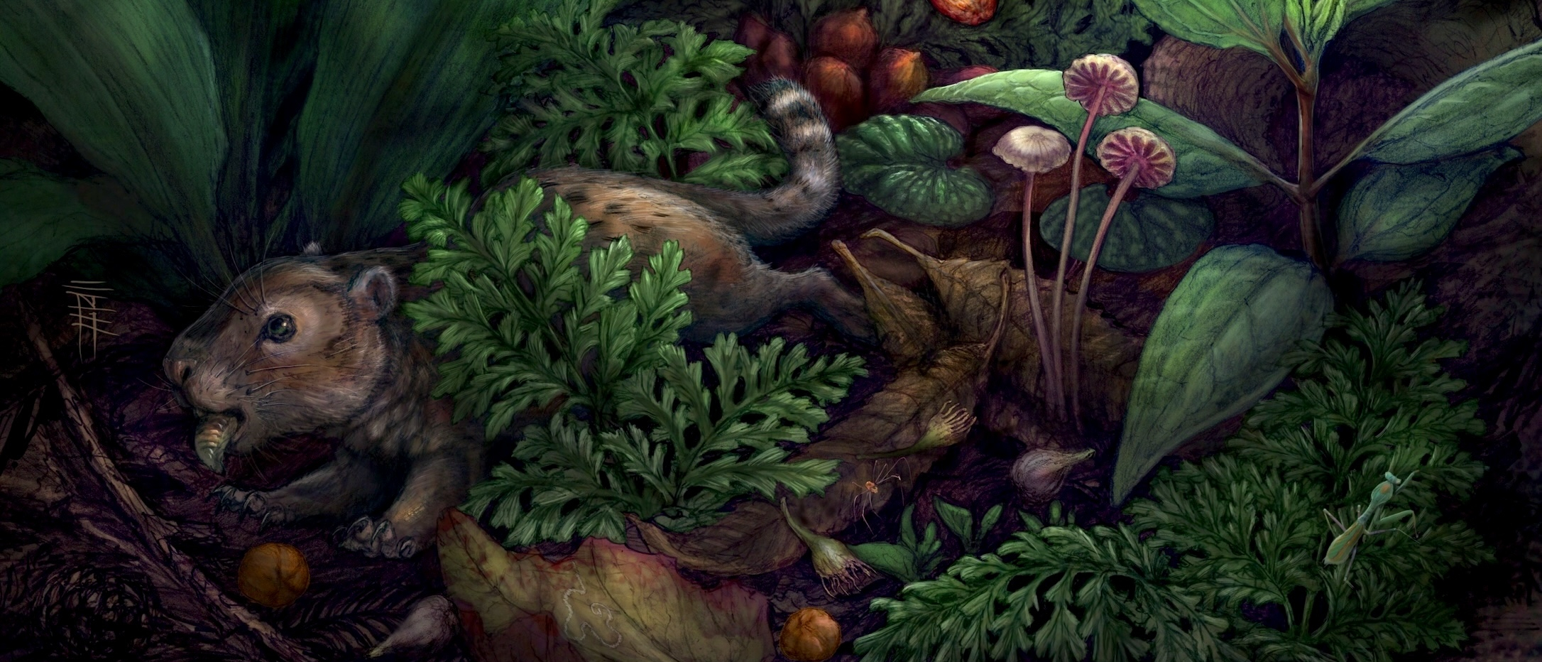 Blütenpflanzen erfanden Früchte schon vor Ende der Dinosaurier