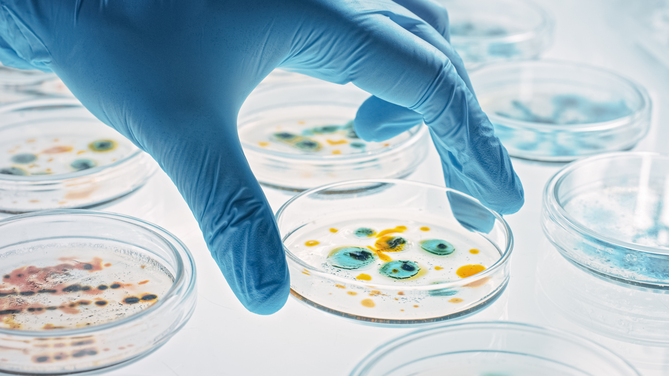 Wie Bakterien gegen Antibiotika zusammenarbeiten