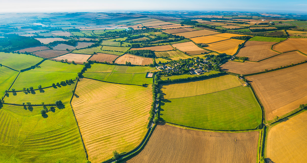 Wie eine gesündere Ernährung die Landwirtschaft verändern könnte