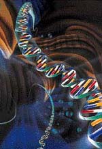 Das Wissen um unsere Gene erfordert einen neuen Verhaltenskodex