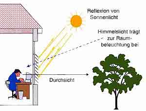 Würzburger Forscher entwickeln Jalousien mit Durchblick
