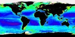 Eisendüngung fördert Wachstum von Plankton im Ozean