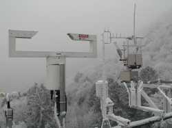 Saurer Nebel - ein bislang unterschätzter Waldkiller