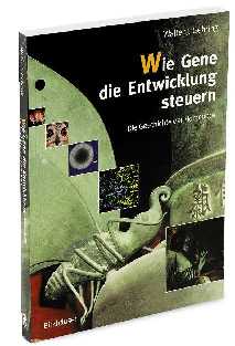 Wie Gene die Entwicklung steuern