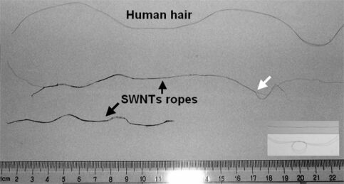 Zwanzig Zentimeter lange Nanoröhrchen hergestellt