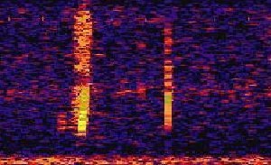 Bluup, "Upsweep" und "Slowdown": Klänge aus der Tiefsee geben
Forschern Rätsel auf