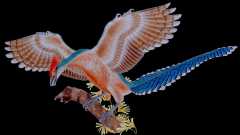 Schon die ersten Vögel fraßen Samen