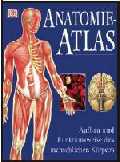 Anatomie-Atlas