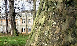 Weniger Schwefeldioxid, aber mehr Dünger in der Luft