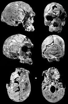 Bislang älteste Homo-sapiens-Überreste in Äthiopien gefunden