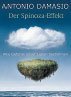 DER SPINOZA-EFFEKT