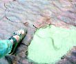 Dino-Spuren in Hannover