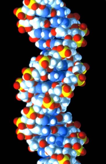 Stress, Freude, Trauer: Wie Umwelteinflüsse die Aktivität der Gene beeinflussen