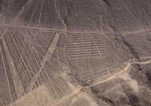 Enträtselte Nasca-Linien
