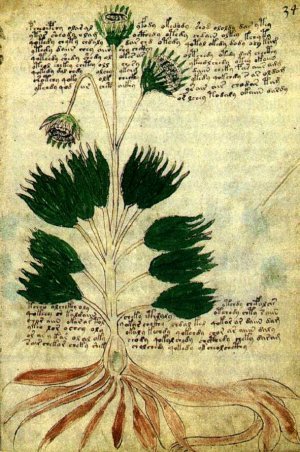 Das Geheimnis des mysteriösen Voynich-Codes