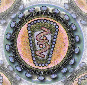 Forscher entdecken natürlichen HIV-Blocker