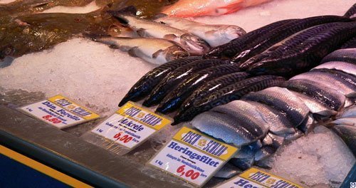 Bevor der Fisch stinkt