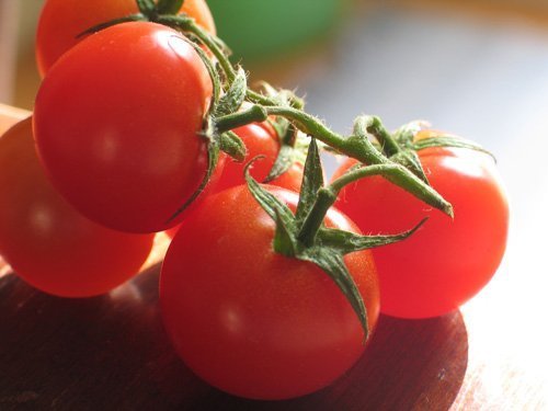Was Bio-Tomaten besser können als andere