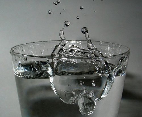 Warum Keime Wasserfilter auch besser machen können