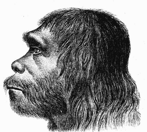 Schminke für die Neandertaler