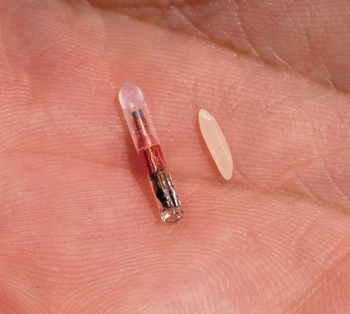 Debatte über elektronische Identität