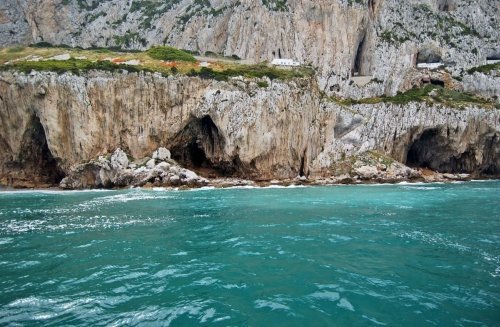 Was Neandertaler zwischen die Zähne bekamen