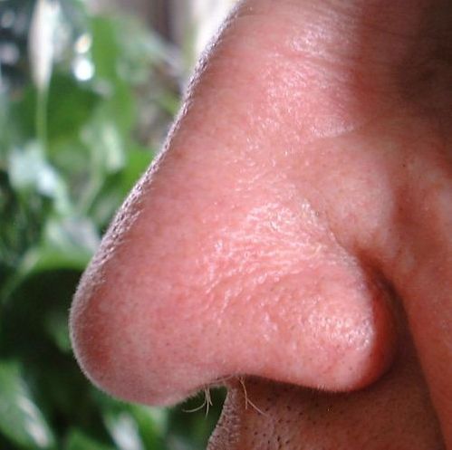 Erster Halt: Nase