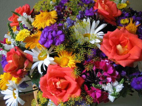 Lasst Blumen sprechen!