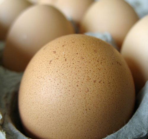 Warum man in der Schwangerschaft Eier essen sollte