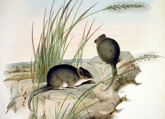 Winterschlaf häppchenweise