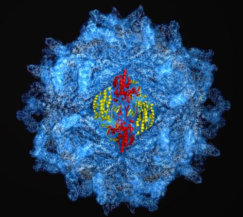 Kunstwerk aus fünf Millionen Atomen