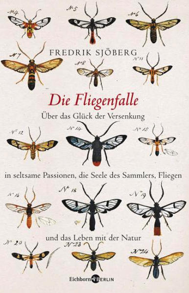 FLIEGEN AUS LEIDENSCHAFT