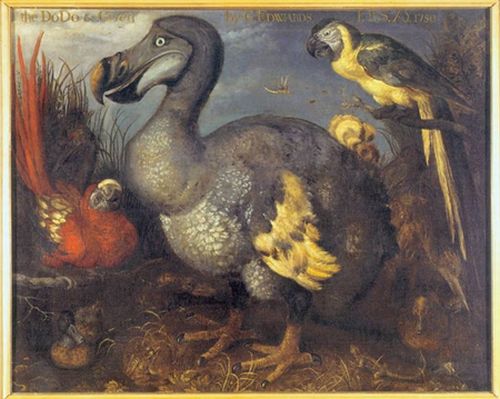 Von wegen perfekte Evolution: Die Natur ist voller Fehlkonstruktionen