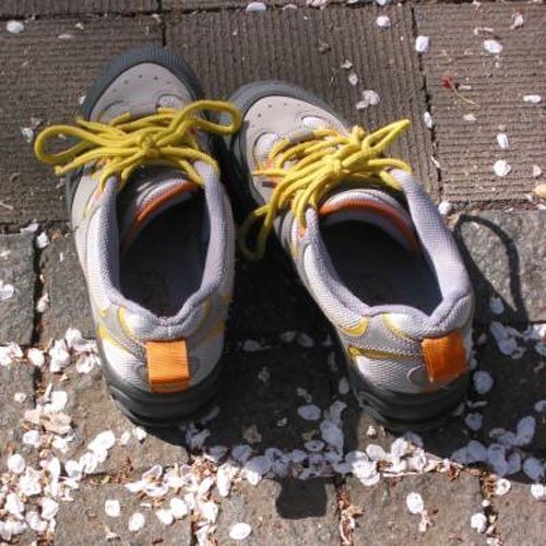 Vitamine versus Sport