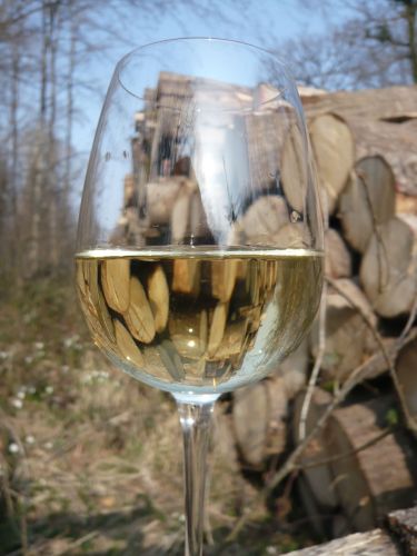 Was Wein zu erzählen hat