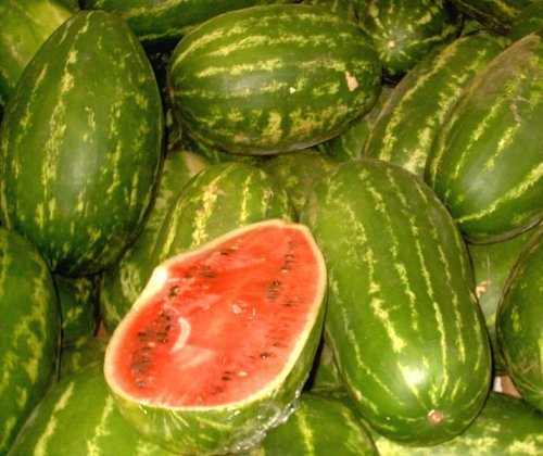 Wassermelonen im Tank