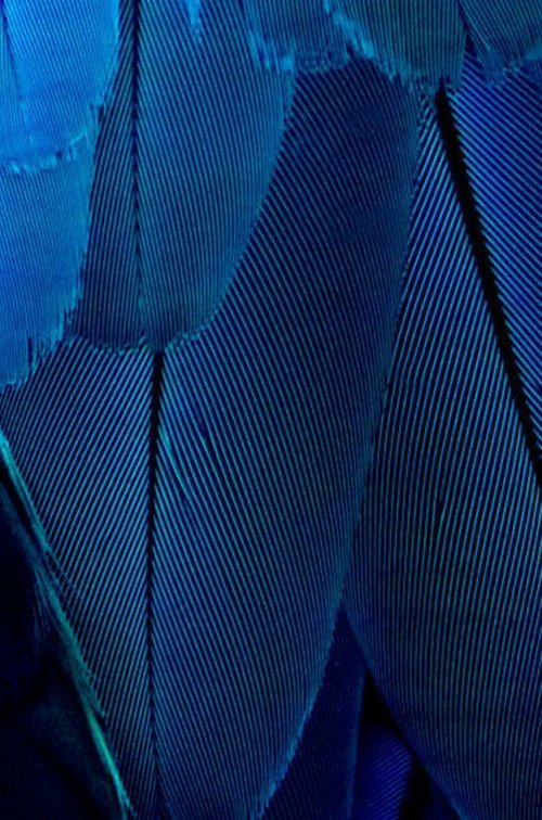 Urtiere in neuem Licht