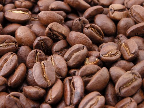 Eine echte Kaffee-Nase