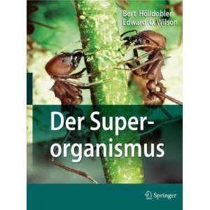 DER SUPERORGANISMUS