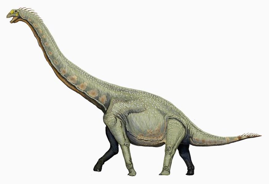 Kopf hoch, Dino