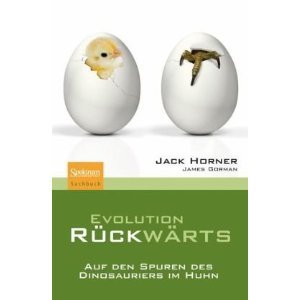EVOLUTION RÜCKWÄRTS