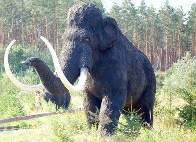 Eiszeitliche Riesenbabys