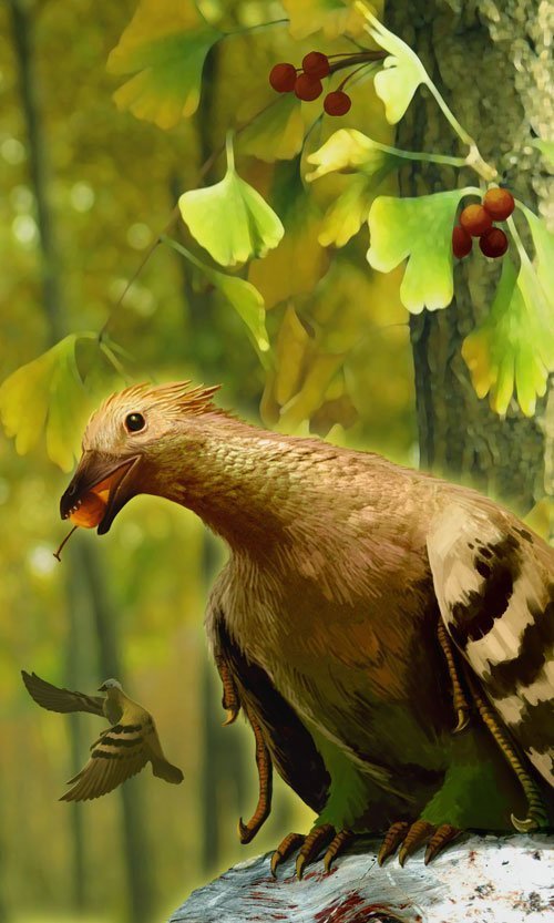 Als die Vögel zu zahnlosen Körnerfressern wurden