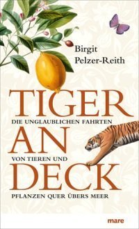 Tiger an Deck