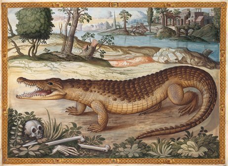 Von Fischen, Vögeln und Reptilien