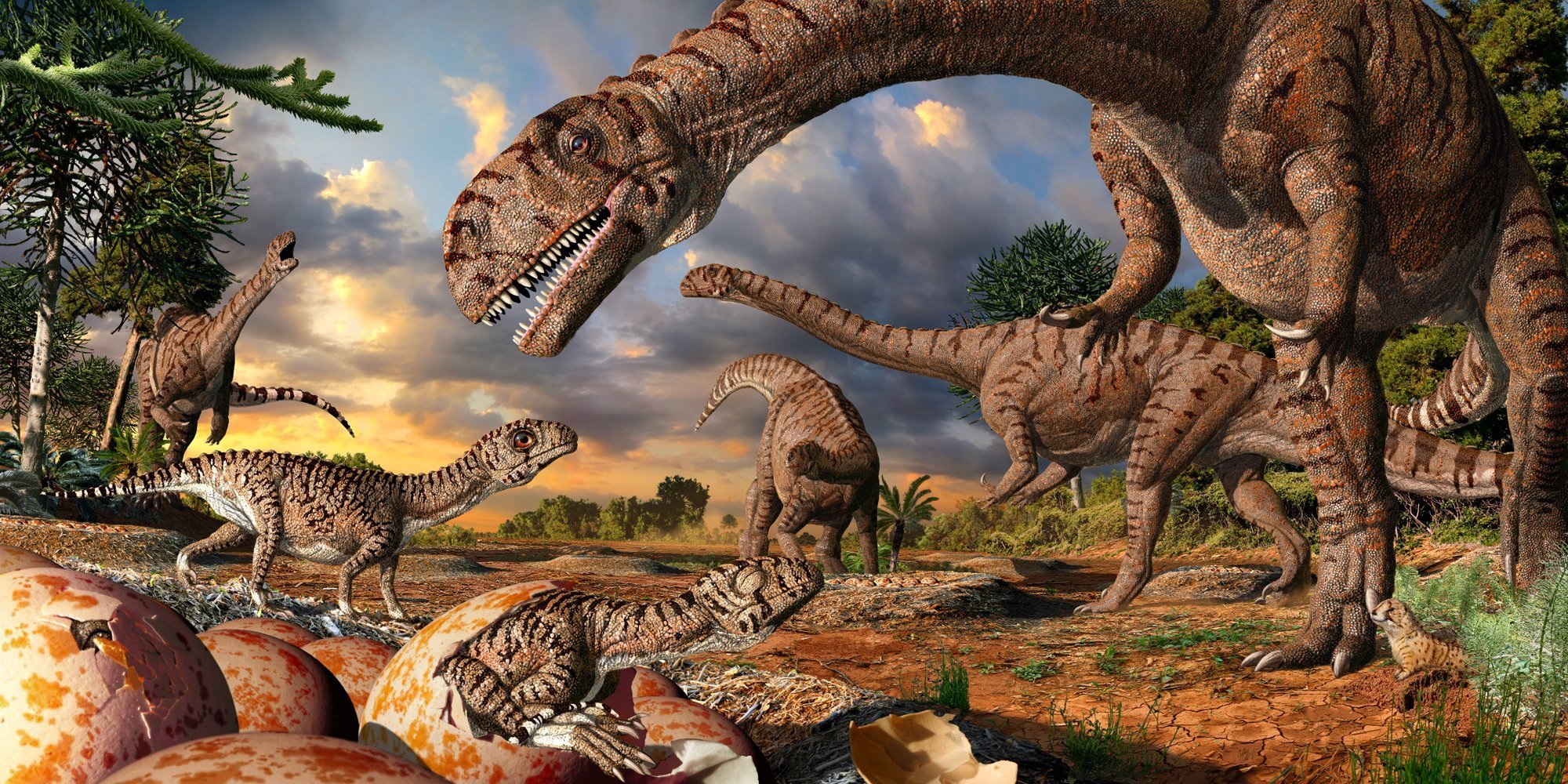 Die ersten Schritte der Babydinos
