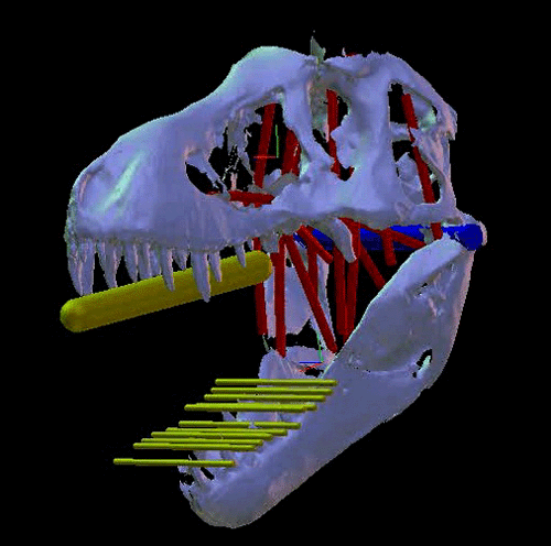T. rex schlägt Weißen Hai