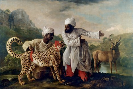 Tiermalerei zwischen Wissenschaft und Kunst