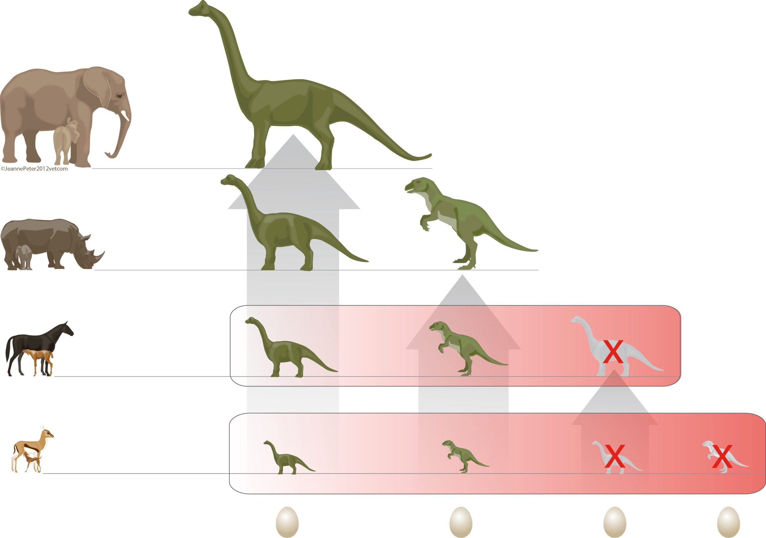Warum Eierlegen keine gute Idee für Tyrannosaurus und Co war