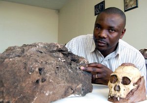 Fossile Puzzleteile entdeckt
